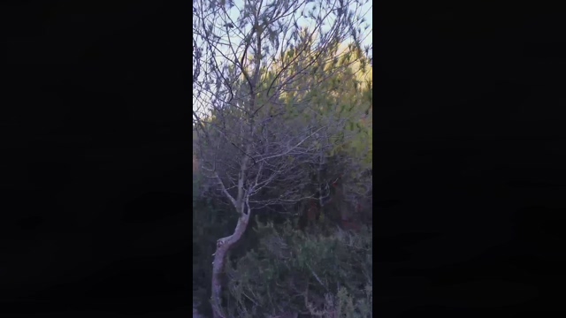 Slavomir78  20-02-2022
